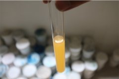 选择消泡剂的几点要求